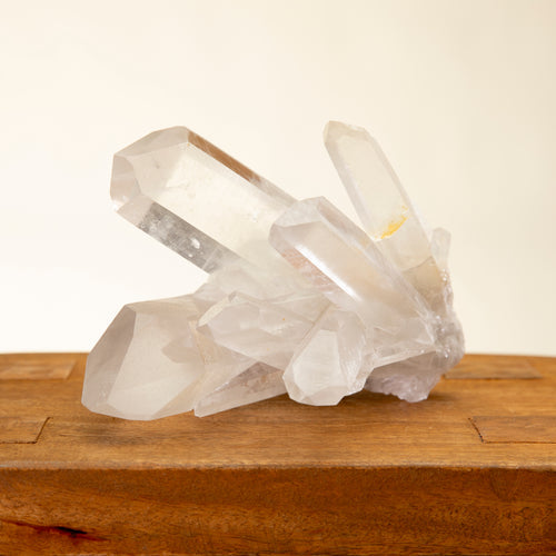 Les Cristaux du Maroc : Des Trésors Cachés au Cœur de la Terre