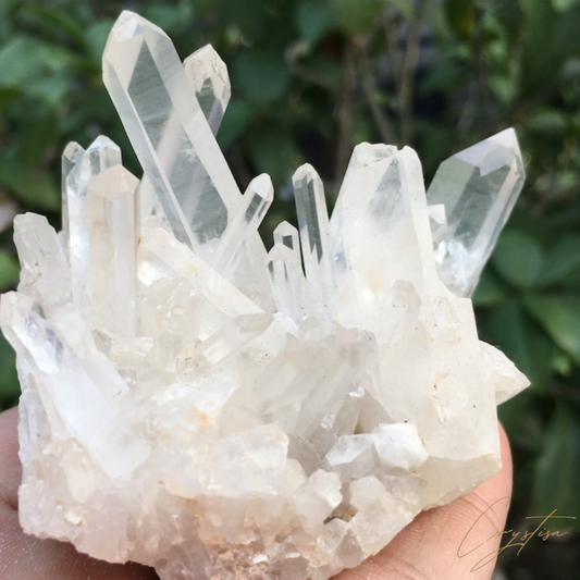 Cristal de Quartz de Collection: Éclat Pureté et Énergie