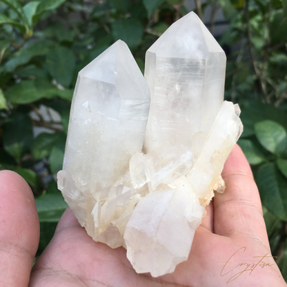 Cristal de Quartz de Collection: Éclat Pureté et Énergie