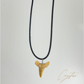 Collier Dent de Requin Fossilisée