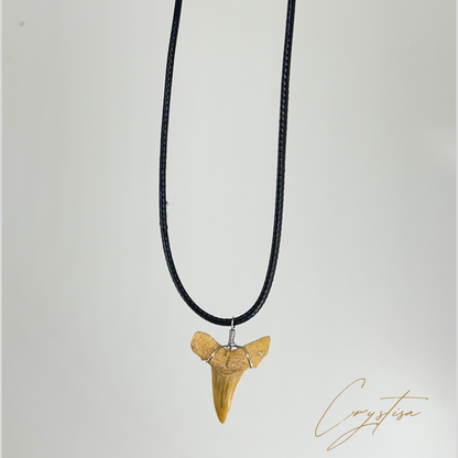 Collier Unique : La Dent de Requin Otodus